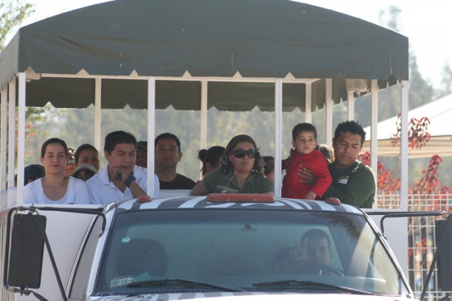 Vehiculos de safaris